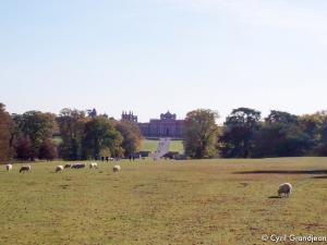 Blenheim Palace