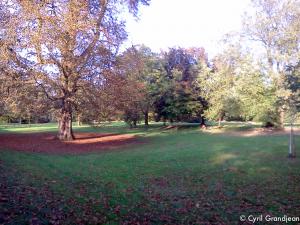 Christ Church Meadow