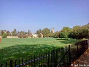 Christ Church Meadow