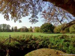 Christ Church Meadow
