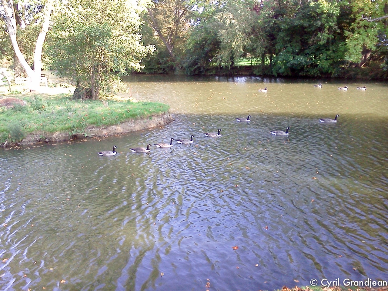 Christ Church Meadow