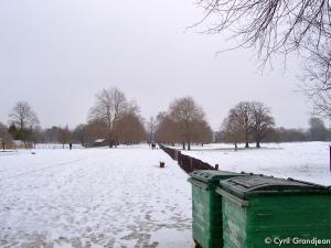 Christ Church Meadow