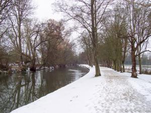 Christ Church Meadow