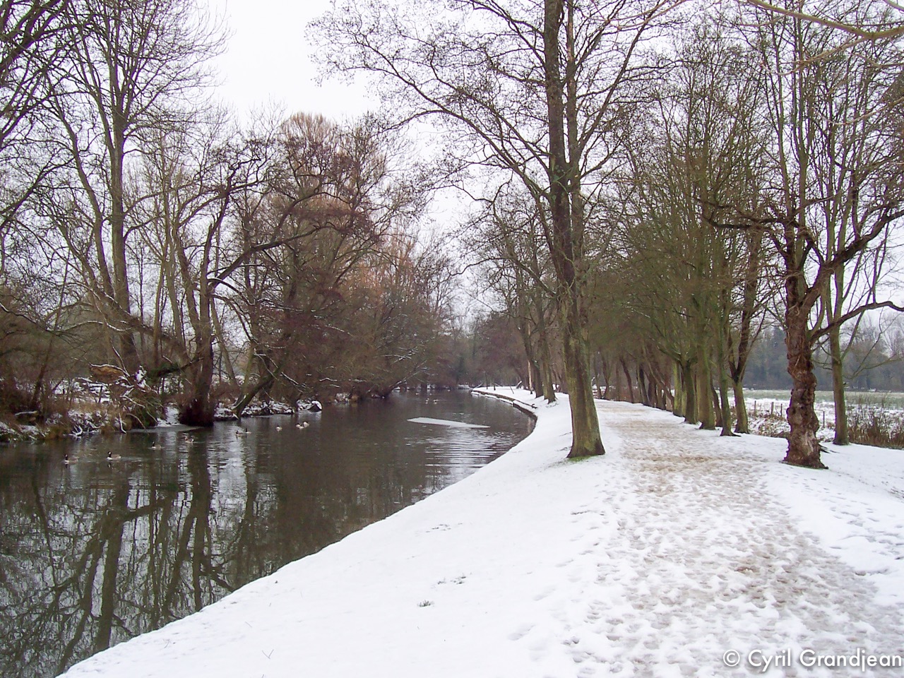 Christ Church Meadow