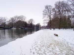 Christ Church Meadow