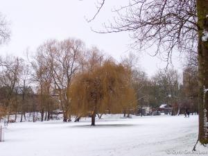Christ Church Meadow