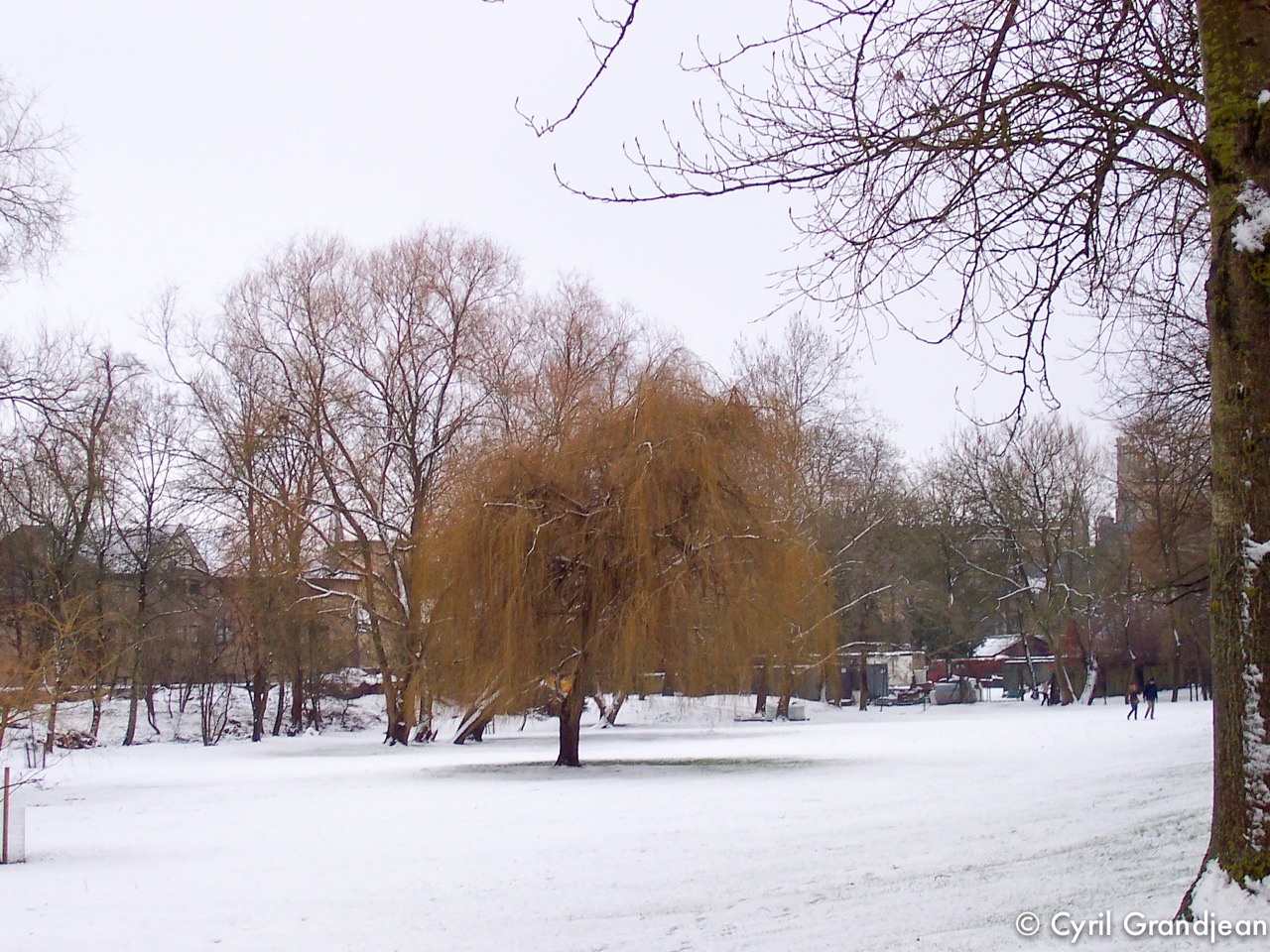 Christ Church Meadow