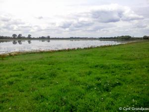 Port Meadow