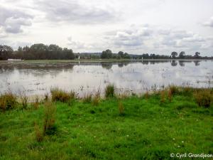 Port Meadow