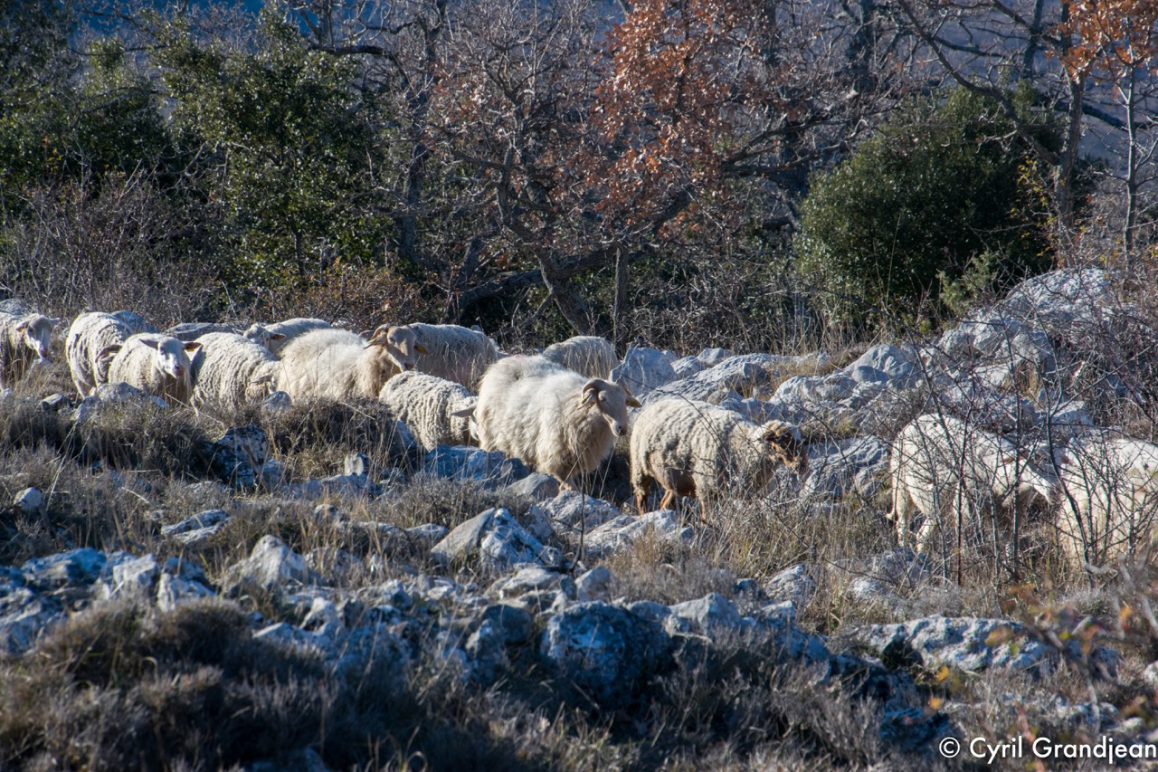 Baou de la Gaude et Saint Jeannet