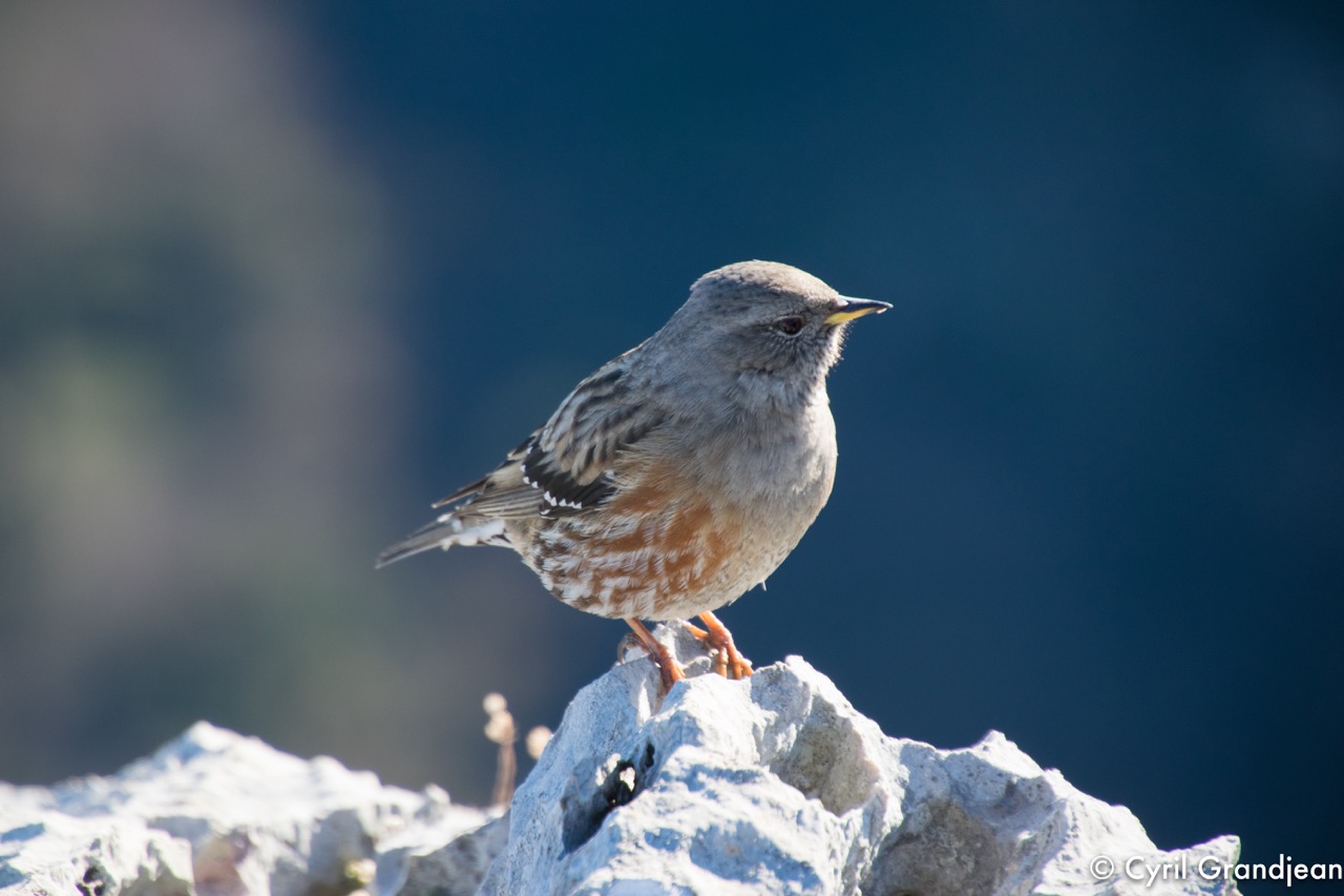 Baou de la Gaude et Saint Jeannet