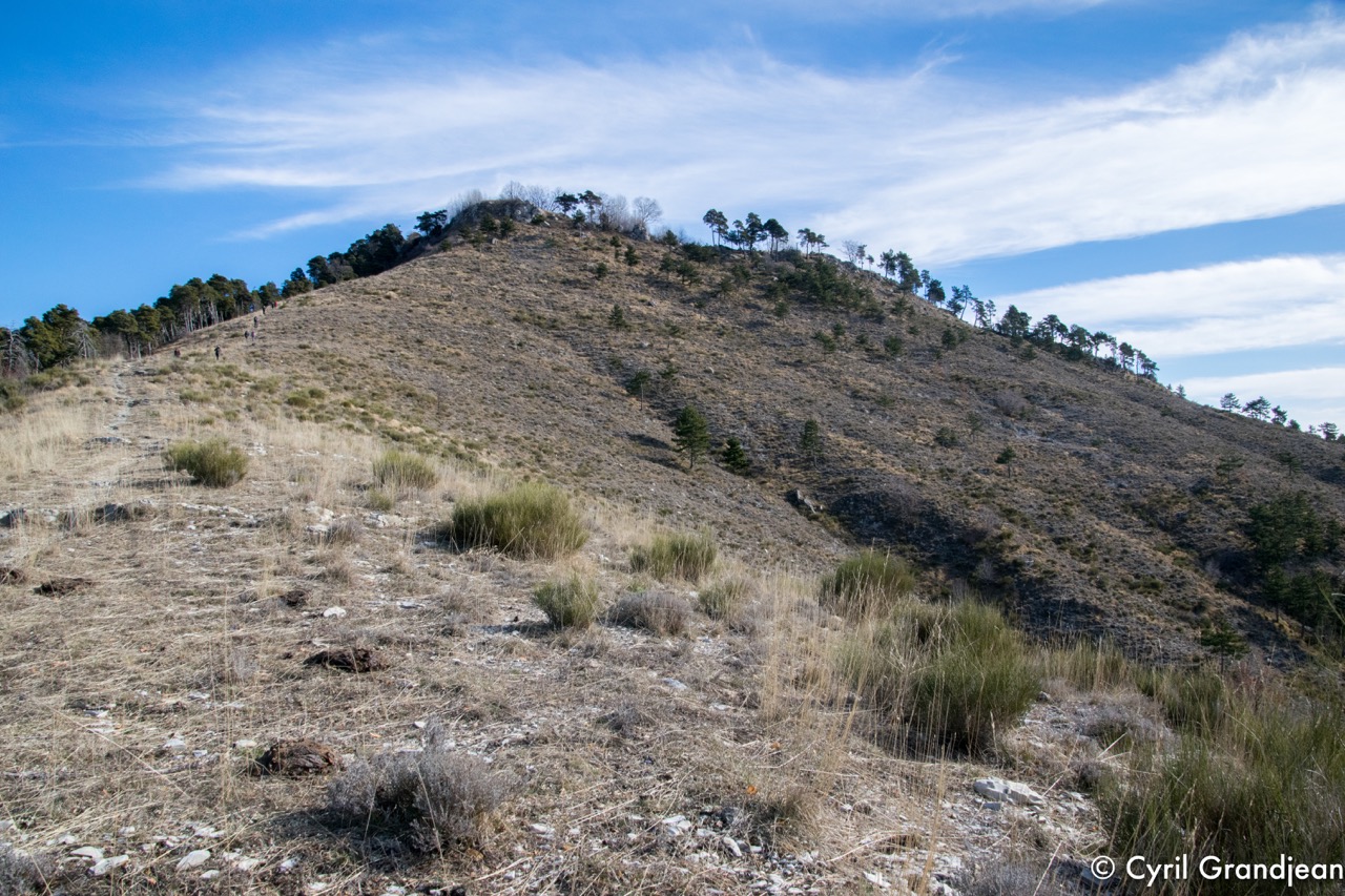 Circuit du Grand Braus