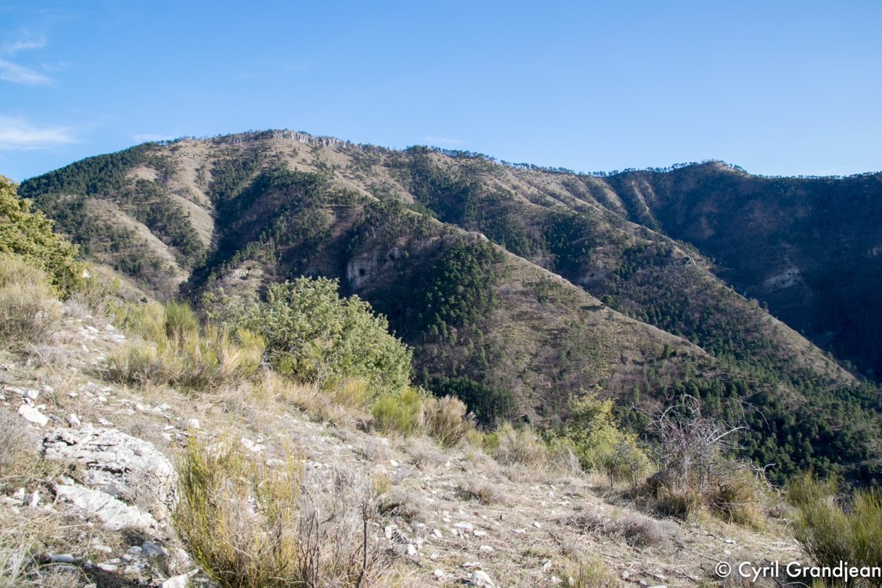 Circuit du Grand Braus