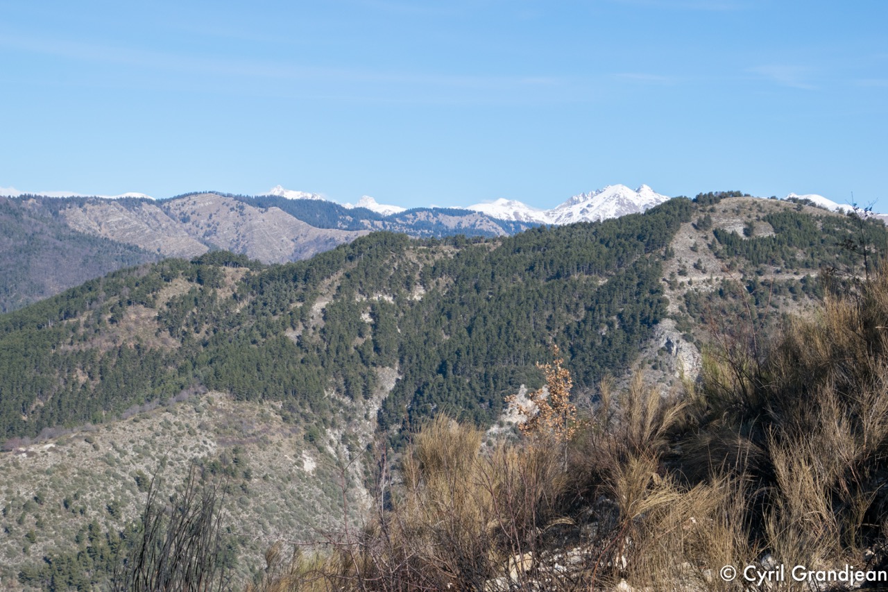 Circuit du Grand Braus