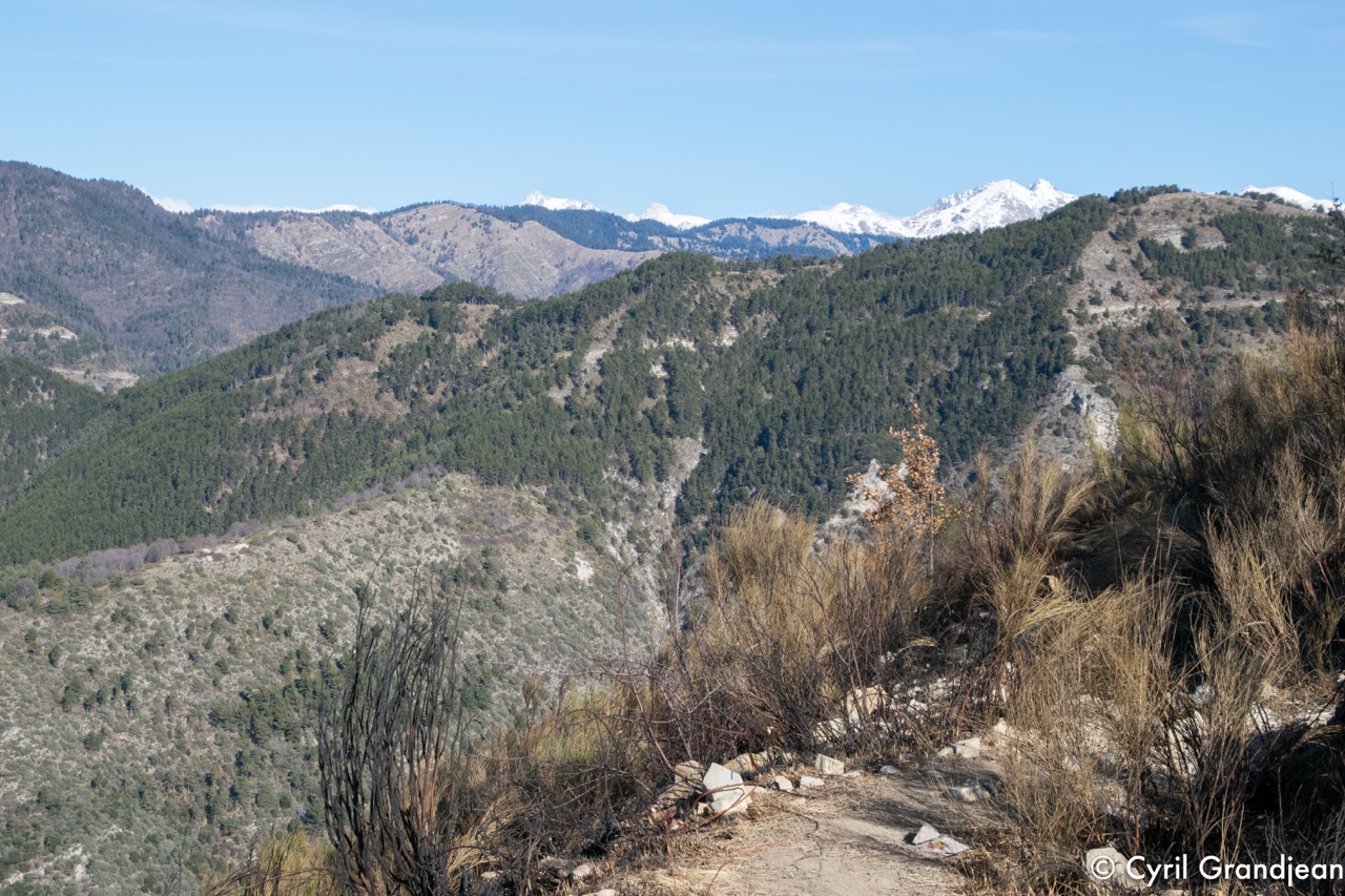 Circuit du Grand Braus