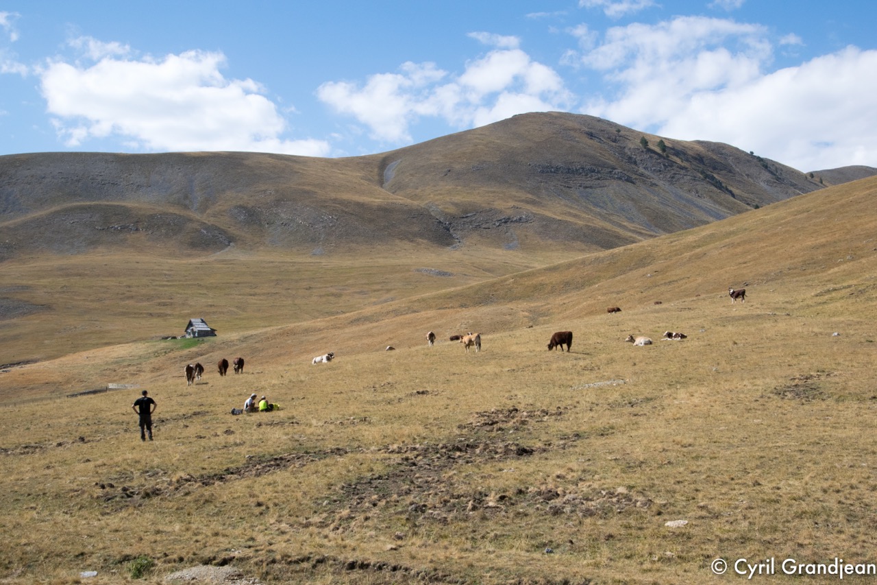 Circuit of Mount Autcellier - Refuge of Longon