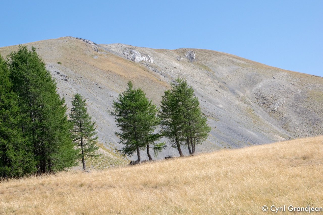 Circuit of Mount Autcellier - Refuge of Longon