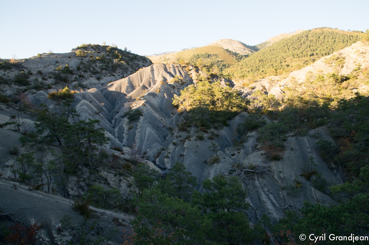 Circuit of Grand Palier