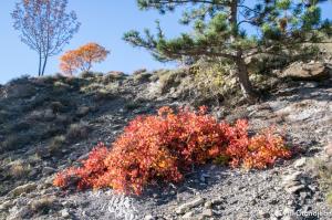 Circuit of Grand Palier