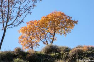 Circuit of Grand Palier