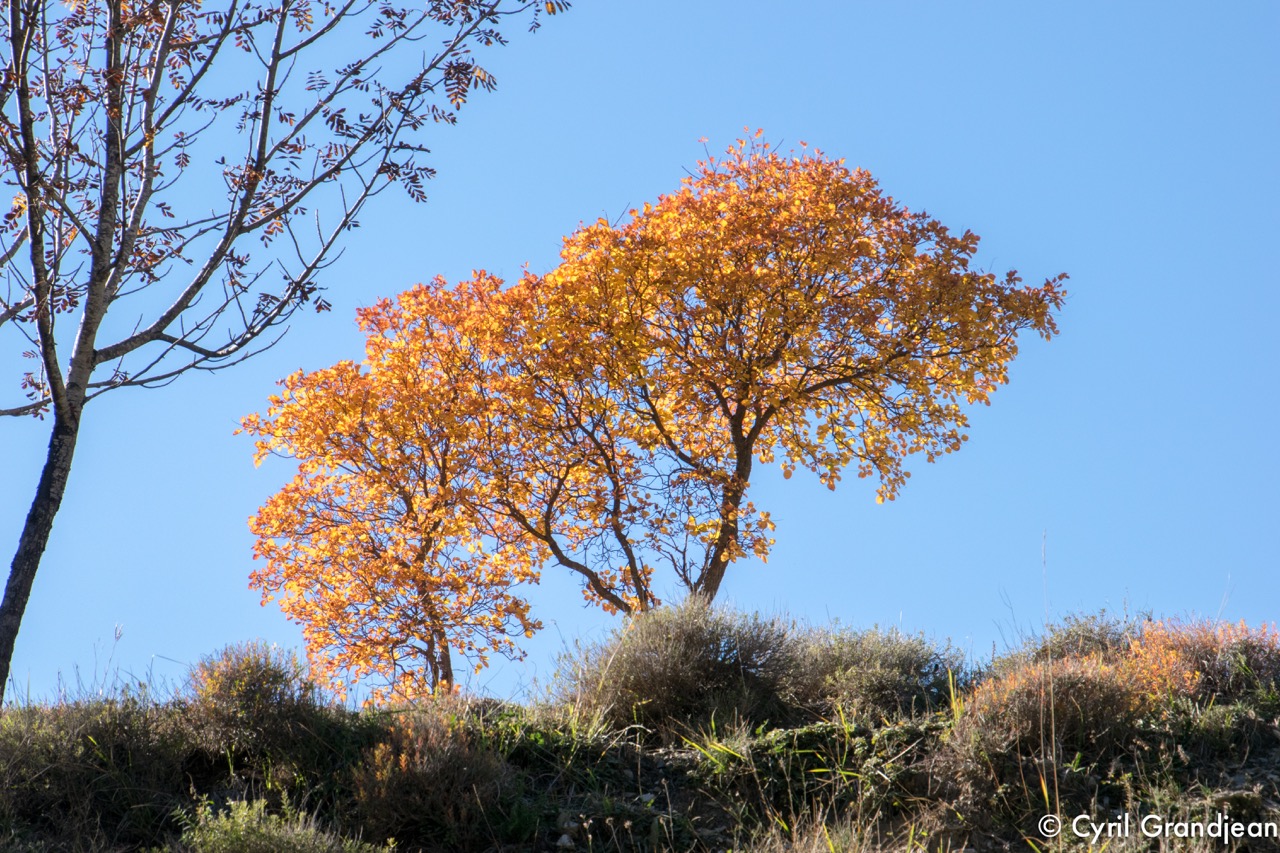 Circuit of Grand Palier