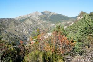 Circuit of Grand Palier