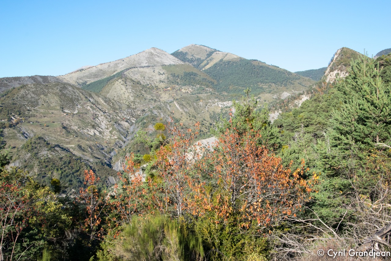 Circuit of Grand Palier