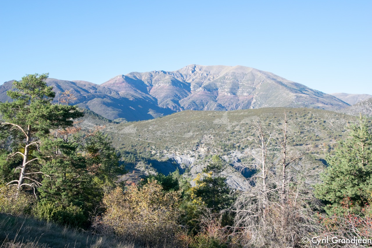 Circuit of Grand Palier