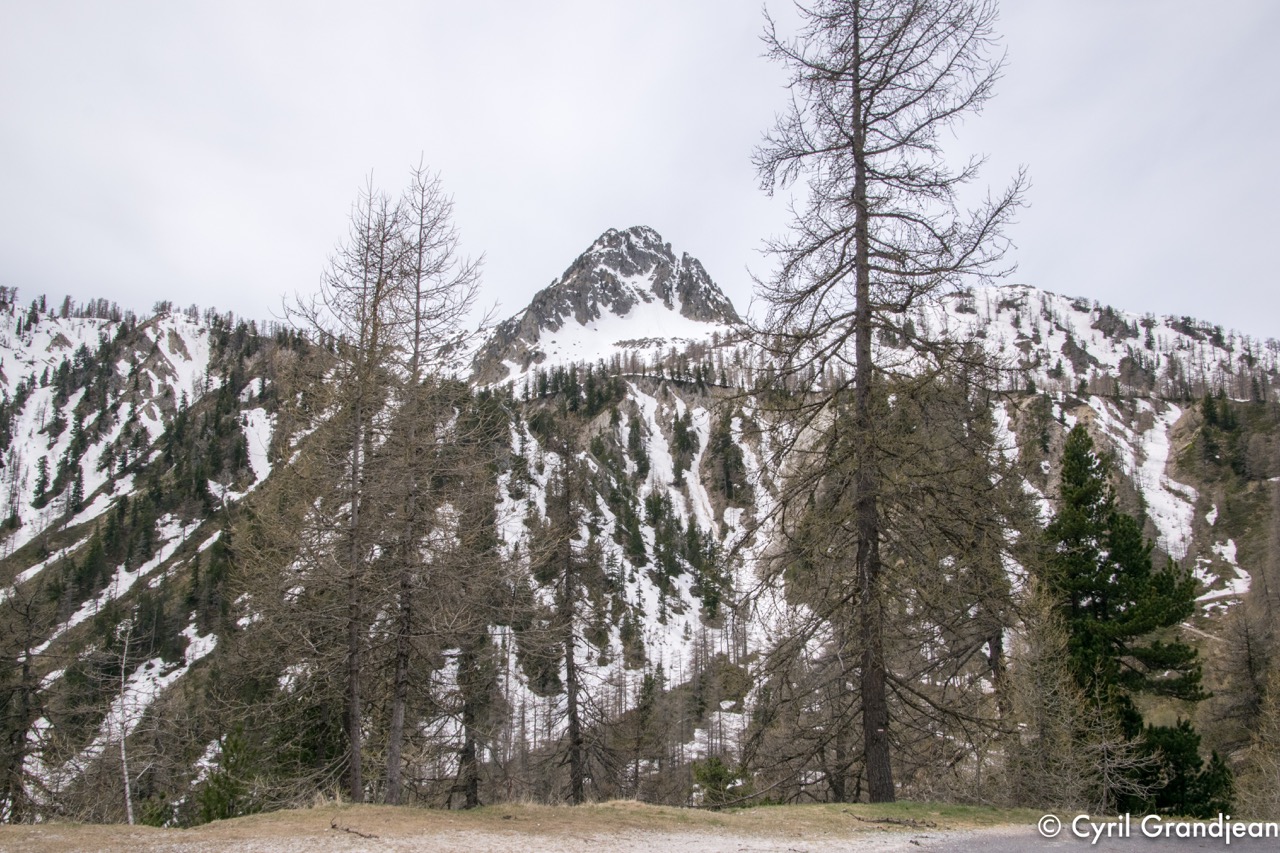 Col de Salèse