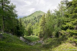 Tete de Siruol et Pointe de Courpatou
