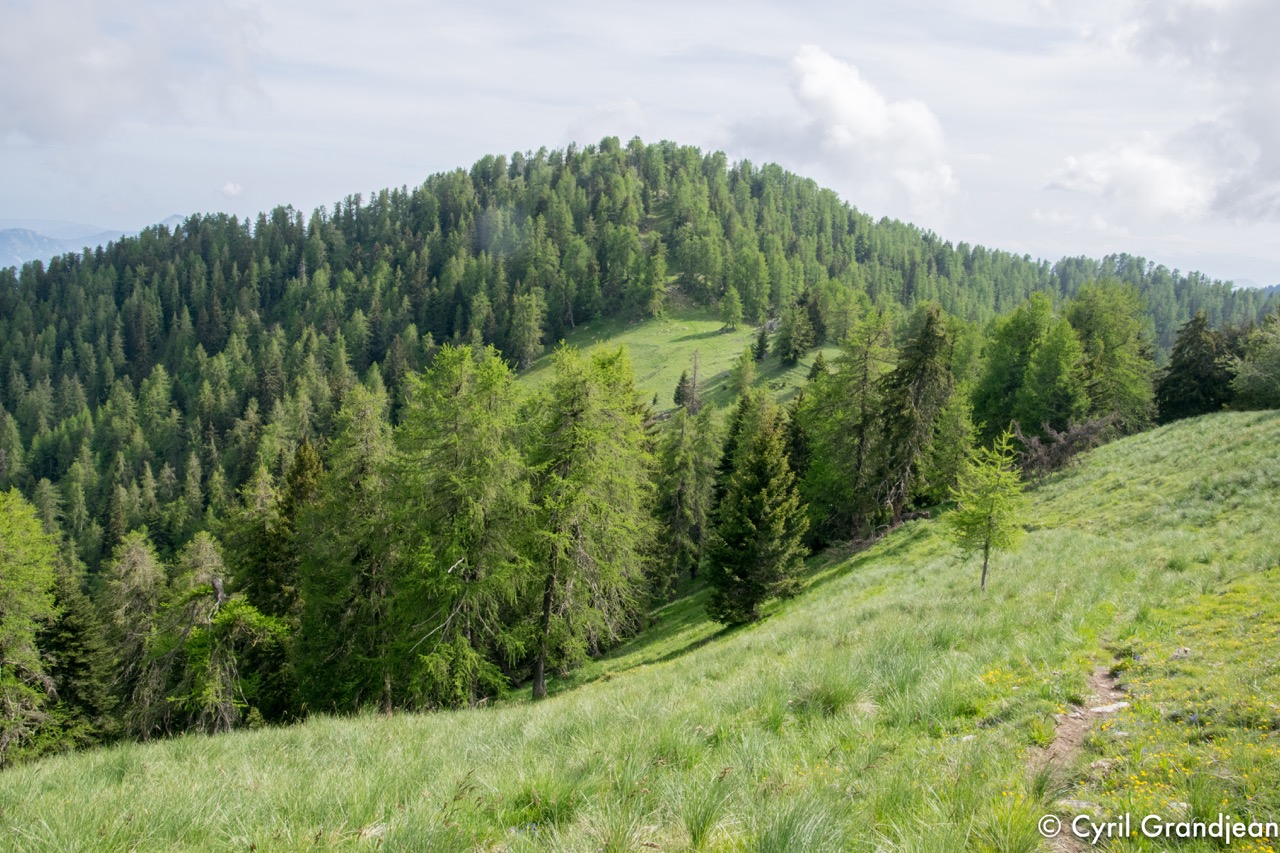 Tete de Siruol et Pointe de Courpatou