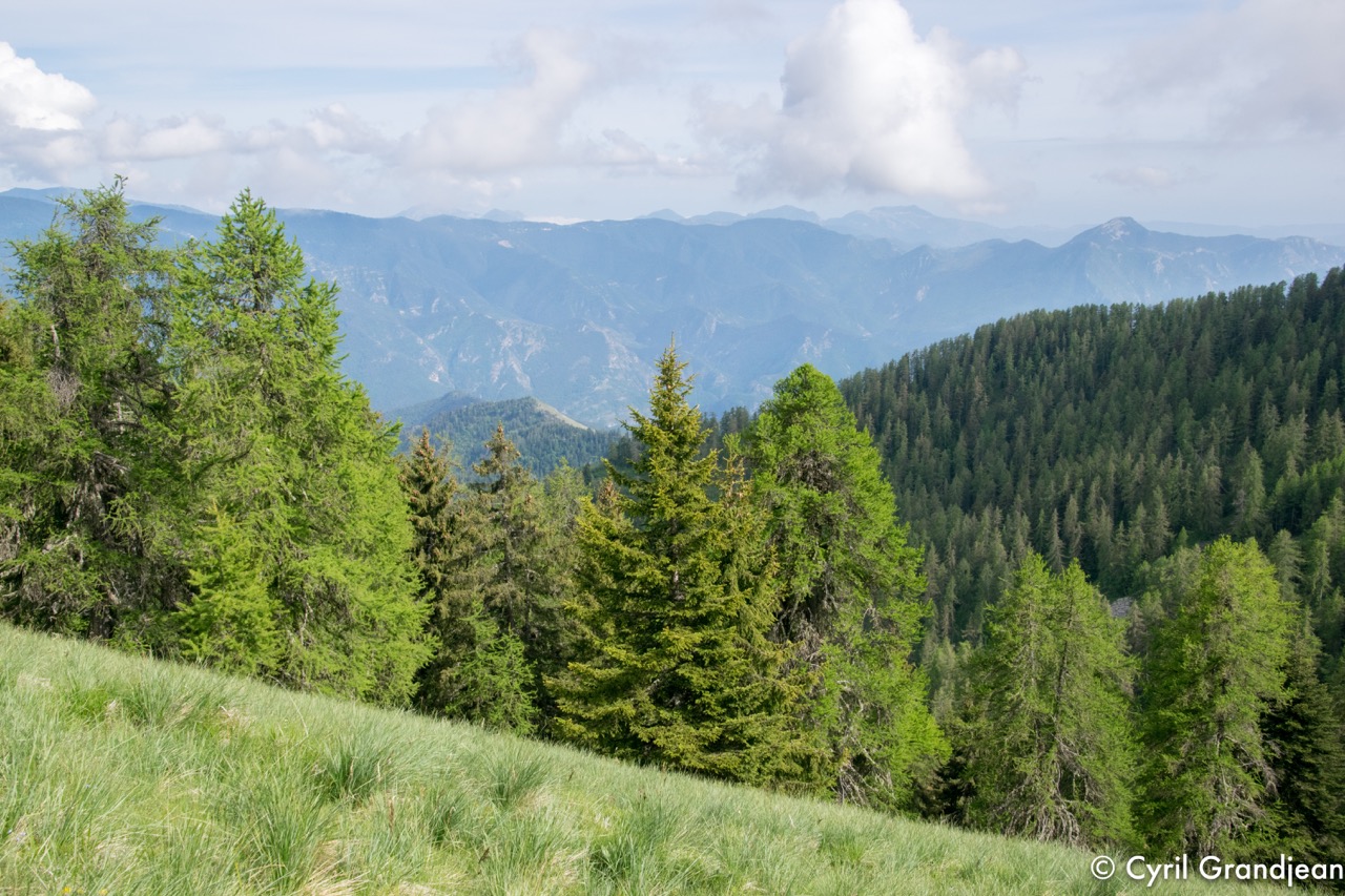 Tete de Siruol et Pointe de Courpatou
