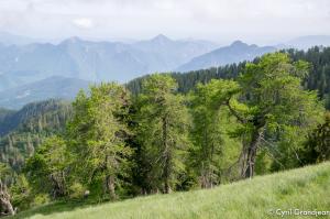 Tete de Siruol et Pointe de Courpatou