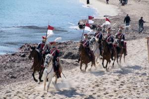 Napoleon at Golfe-Juan