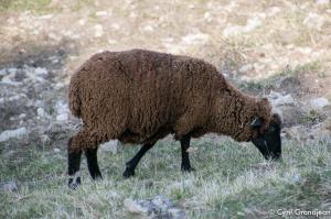 Circuit Col Razet - Colla Bassa