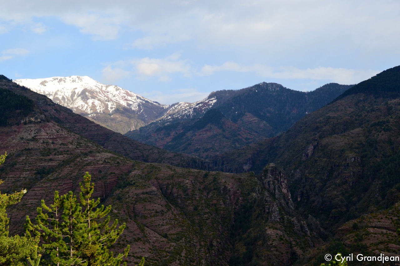 Gorges de Daluis