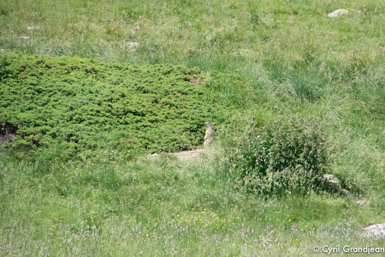 Circuit de Fontanalbe