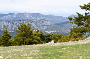 Circuit of l'Audibergue