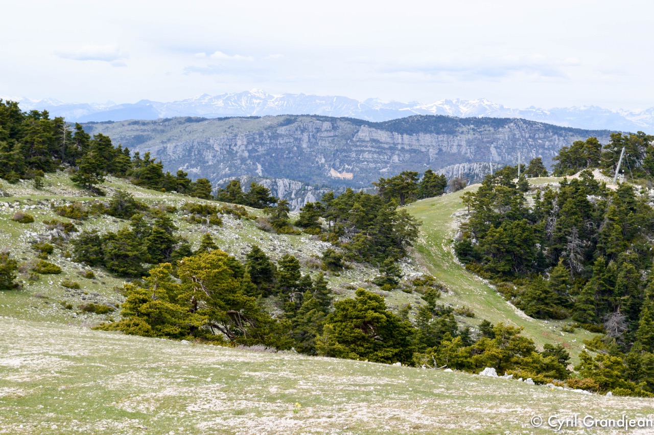 Circuit of l'Audibergue