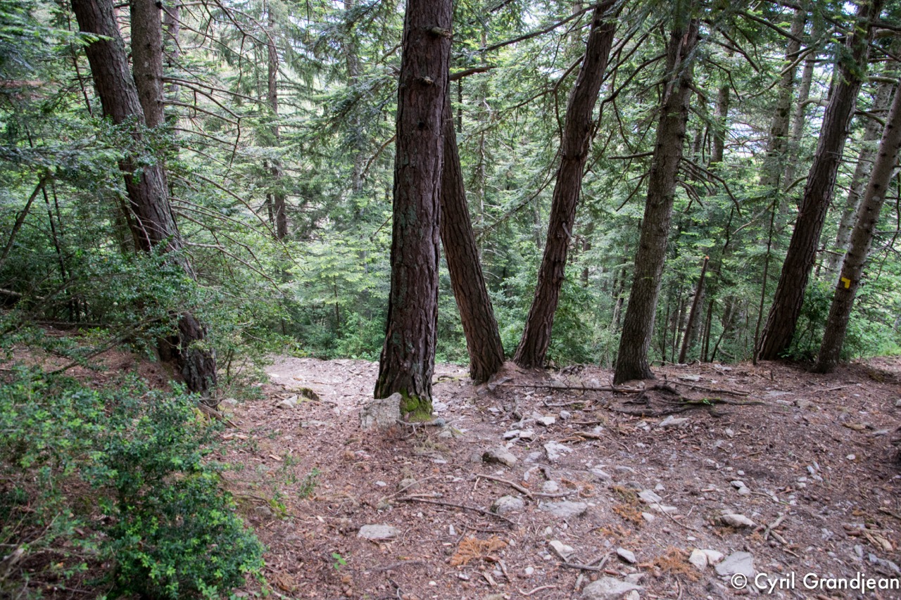 Circuit de la Maluna