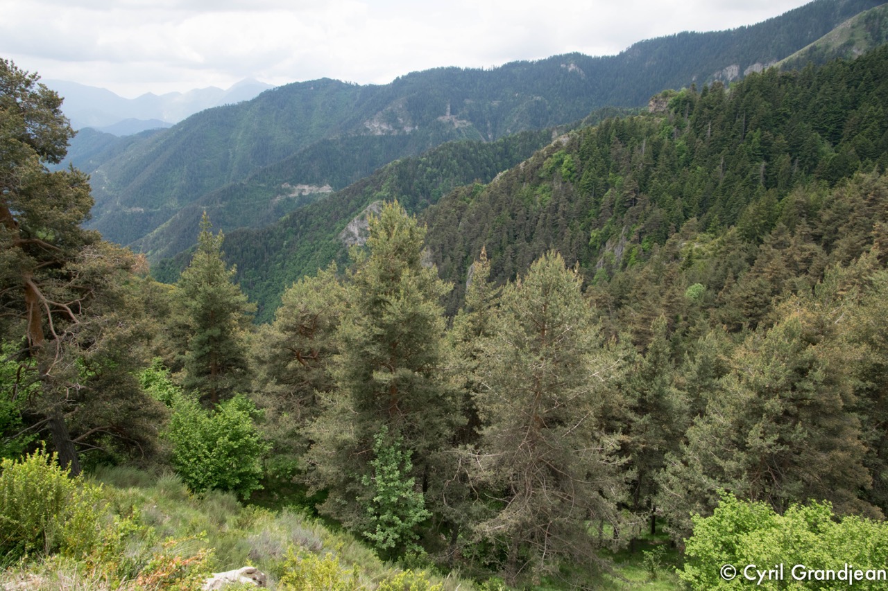 Circuit de la Maluna