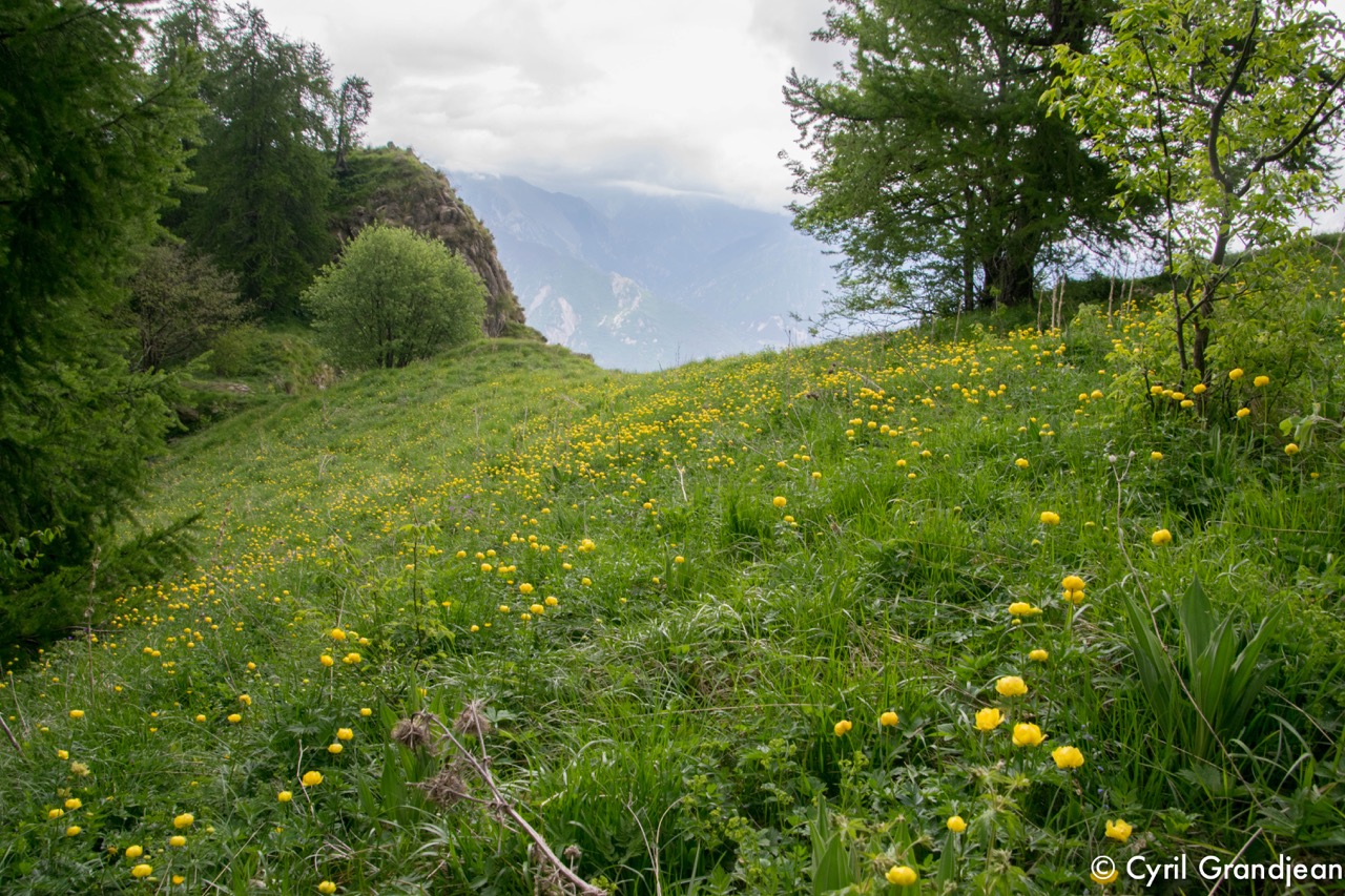Circuit de la Maluna