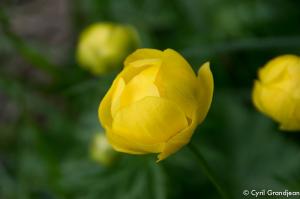 Circuit de la Maluna