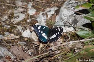 Circuit of Lourquière