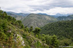 Circuit of Rocca Sparviera