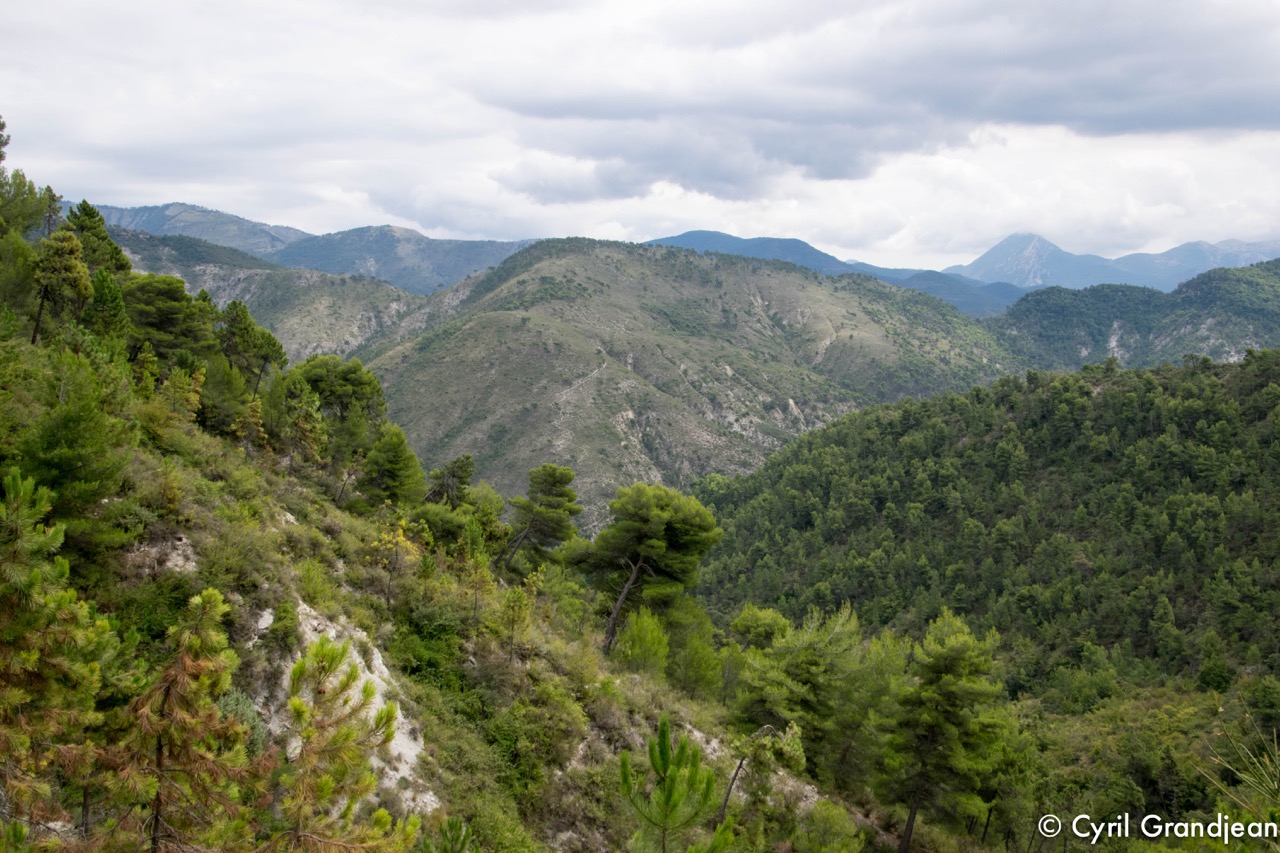 Circuit of Rocca Sparviera