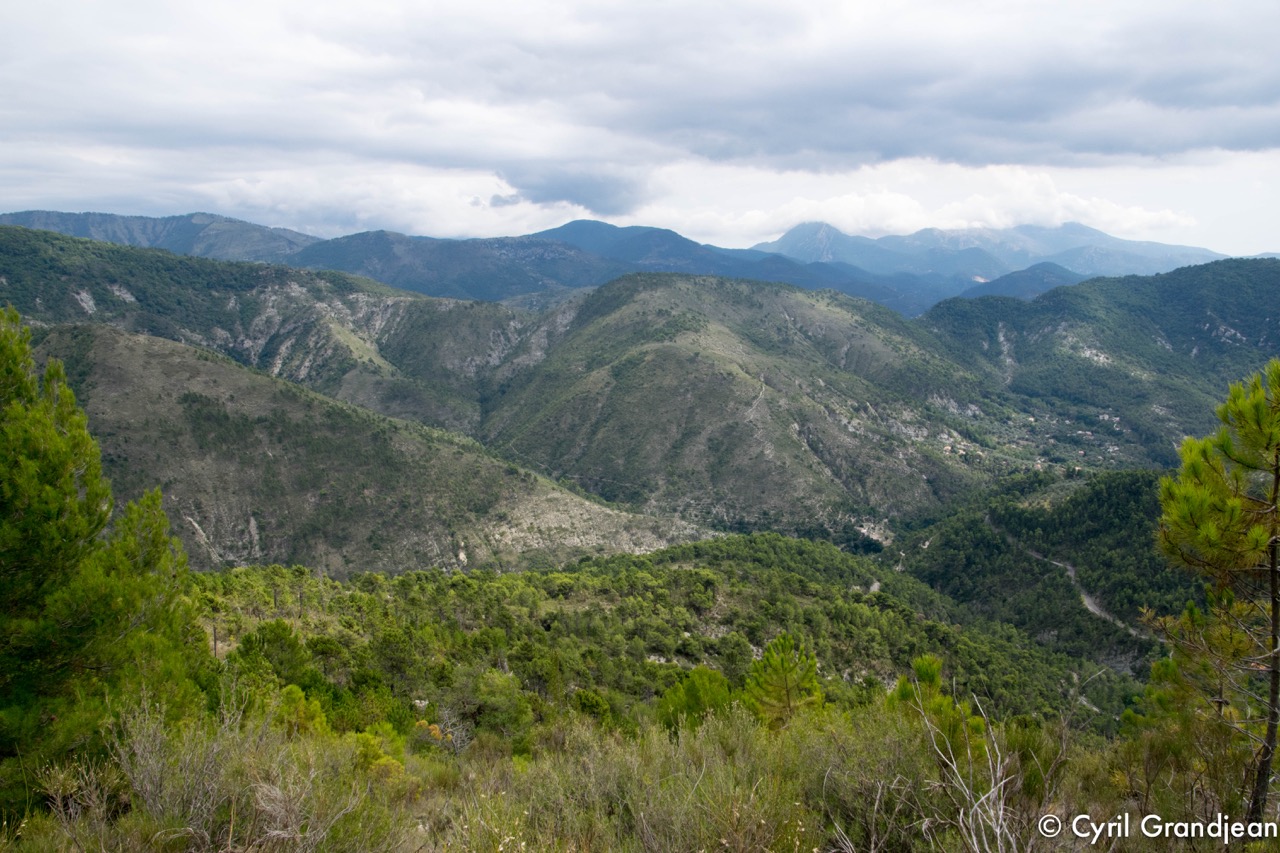 Circuit of Rocca Sparviera