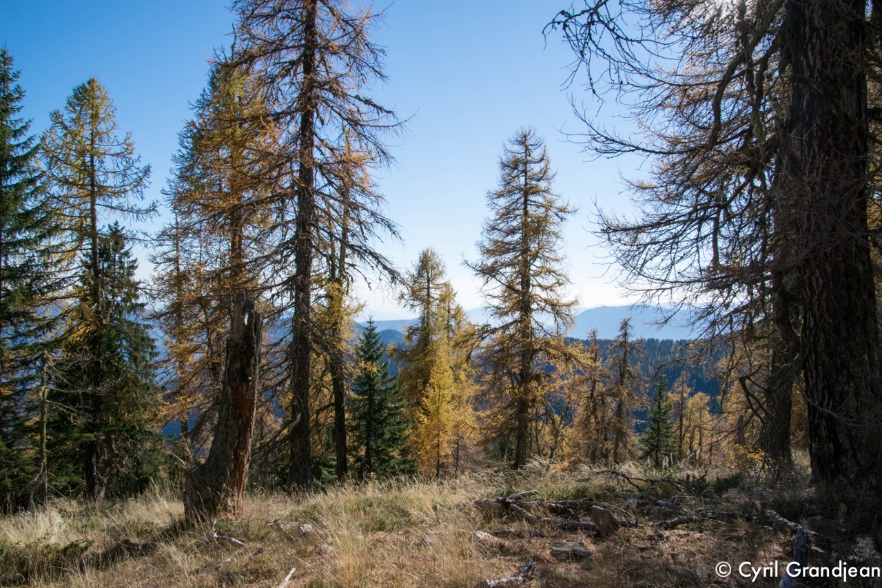 Circuit of Tournairet