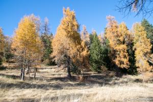 Circuit of Tournairet