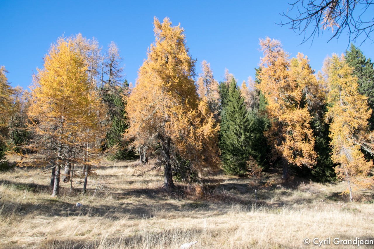 Circuit of Tournairet